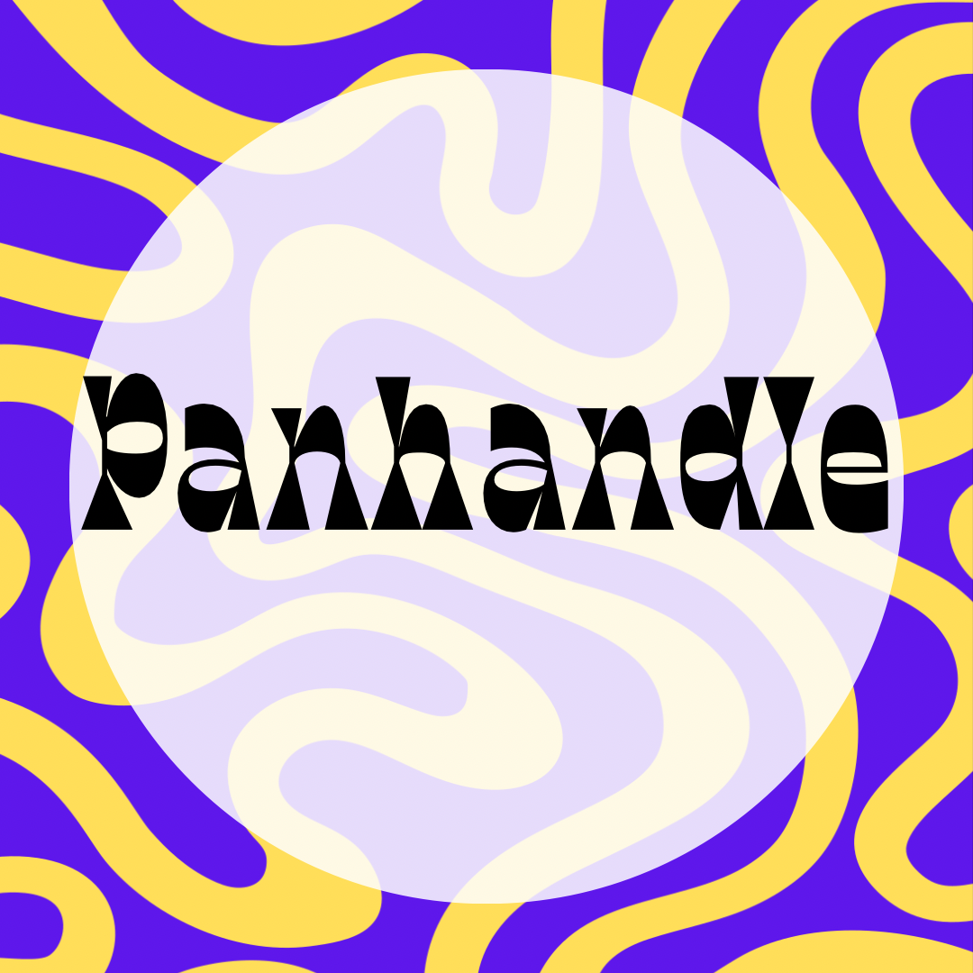 Panhandle Panthers